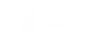 Responsive Analytix Logo on White